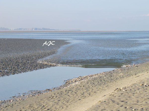 Chambre h�tes Les Vert Linettes  Arriv�e de la mer en Baie de Somme 