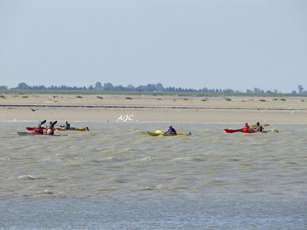 Chambre h�tes Les Vert Linettes  Cano� Kayak en Baie de Somme
