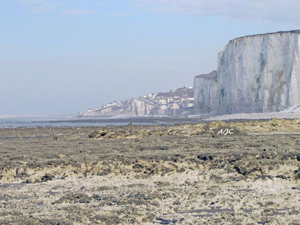 Chambre h�tes Les Vert Linettes  Baie de Somme les falaises